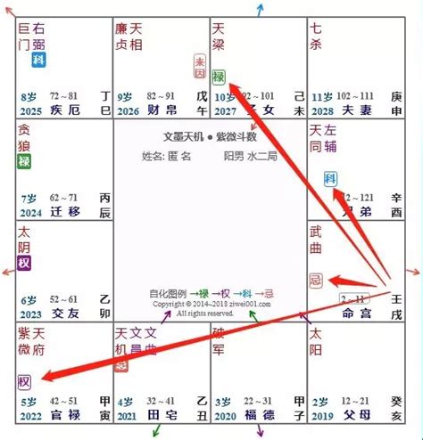 飛星 怎麼看|紫微斗數基礎 